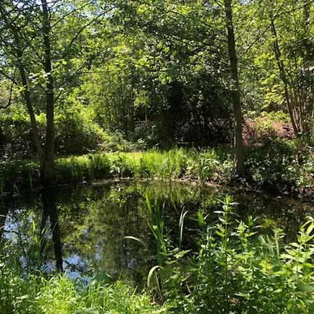 Landhuis het Woud. max. 11 pers. with private pool-2