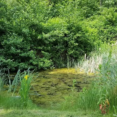 Landhuis het Woud. max. 11 pers. with private pool-3
